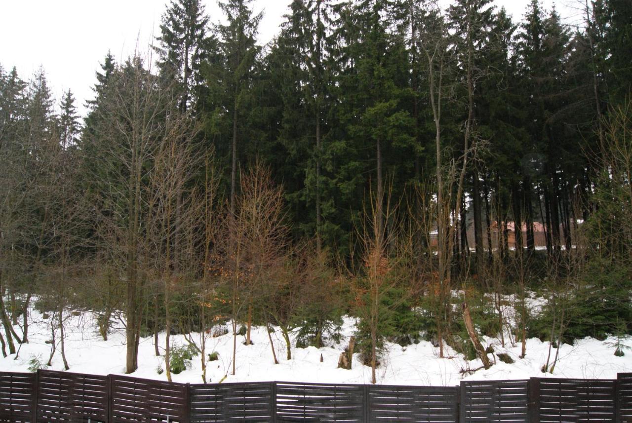 Fewo Adler 2-6 Personen Braunlage Exterior photo